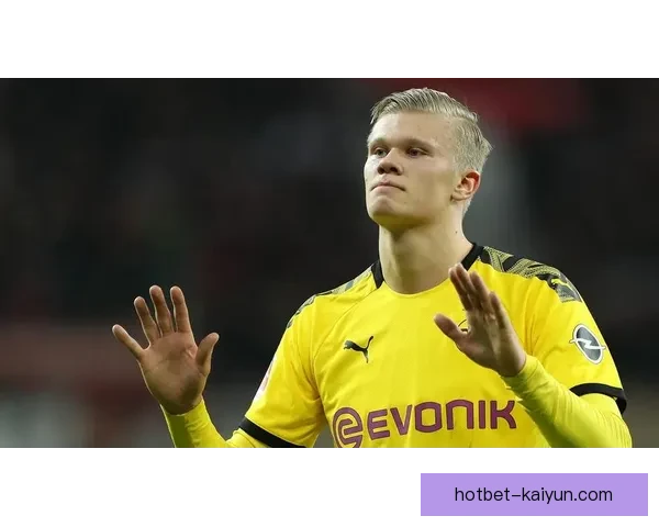 阿拉维斯转会策略分析：球队在新赛季引援表现稳健，关注重点逐渐清晰。