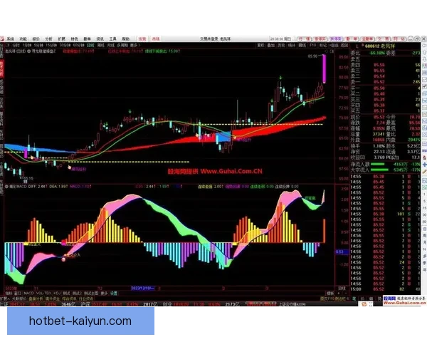 南美杯黑马表现稳健，续写惊喜之旅
